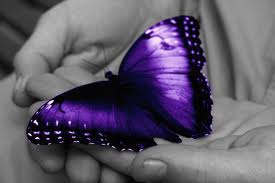 aaaaaaaaa-------------------------------------------