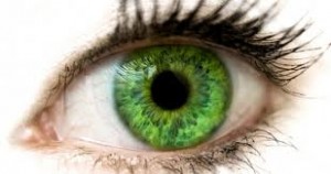 fffffffffffffffffffffffffffffffffffffffffffffffffffffffffffff